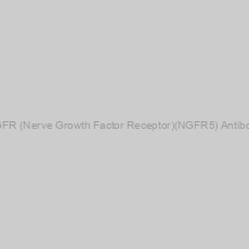 Image of NGFR (Nerve Growth Factor Receptor)(NGFR5) Antibody